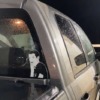 Shane Mfk'n Kint Velocity Meme Stickers - Image 6